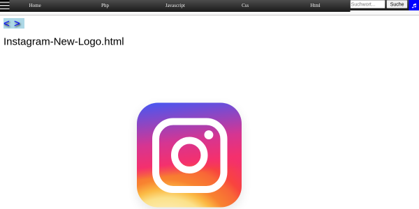 Instagram New Logo 