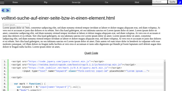volltext suche auf einer seite bzw in einen element 