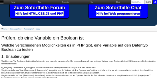 pruefen ob eine variable ein boolean ist 