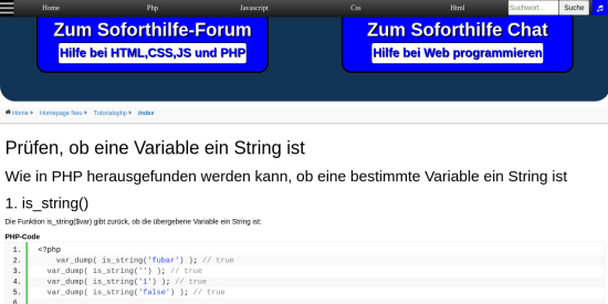 pruefen ob eine variable ein string ist 